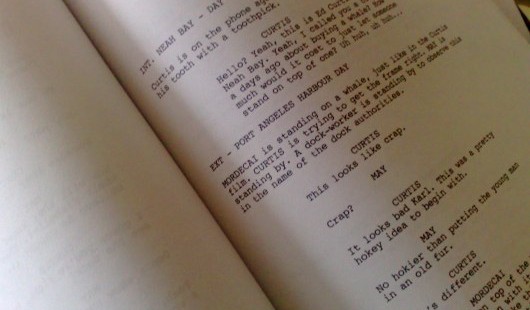 How Important Is The Script?